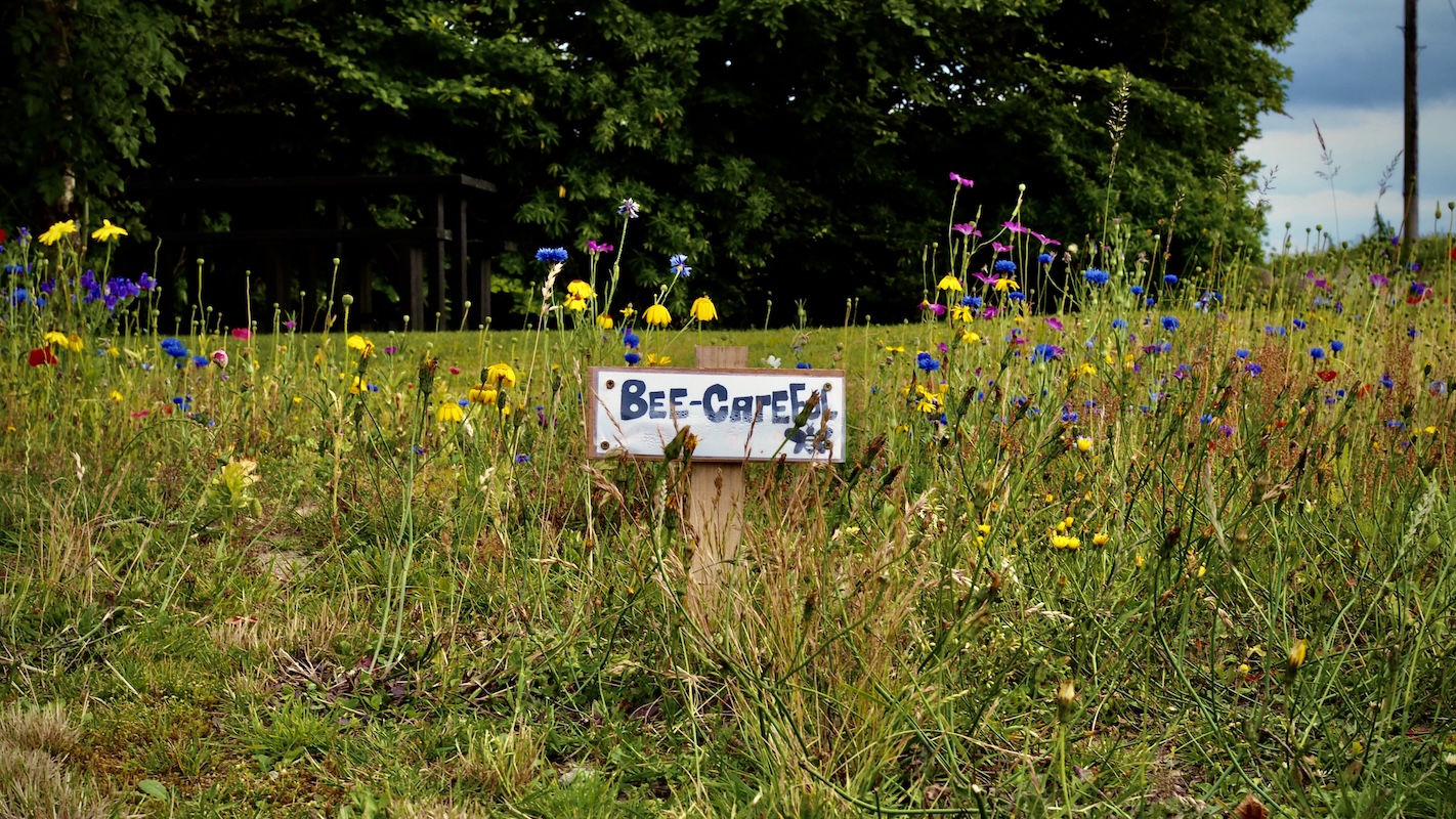 Sign surrounded by flower, reads: 'Bee careful'