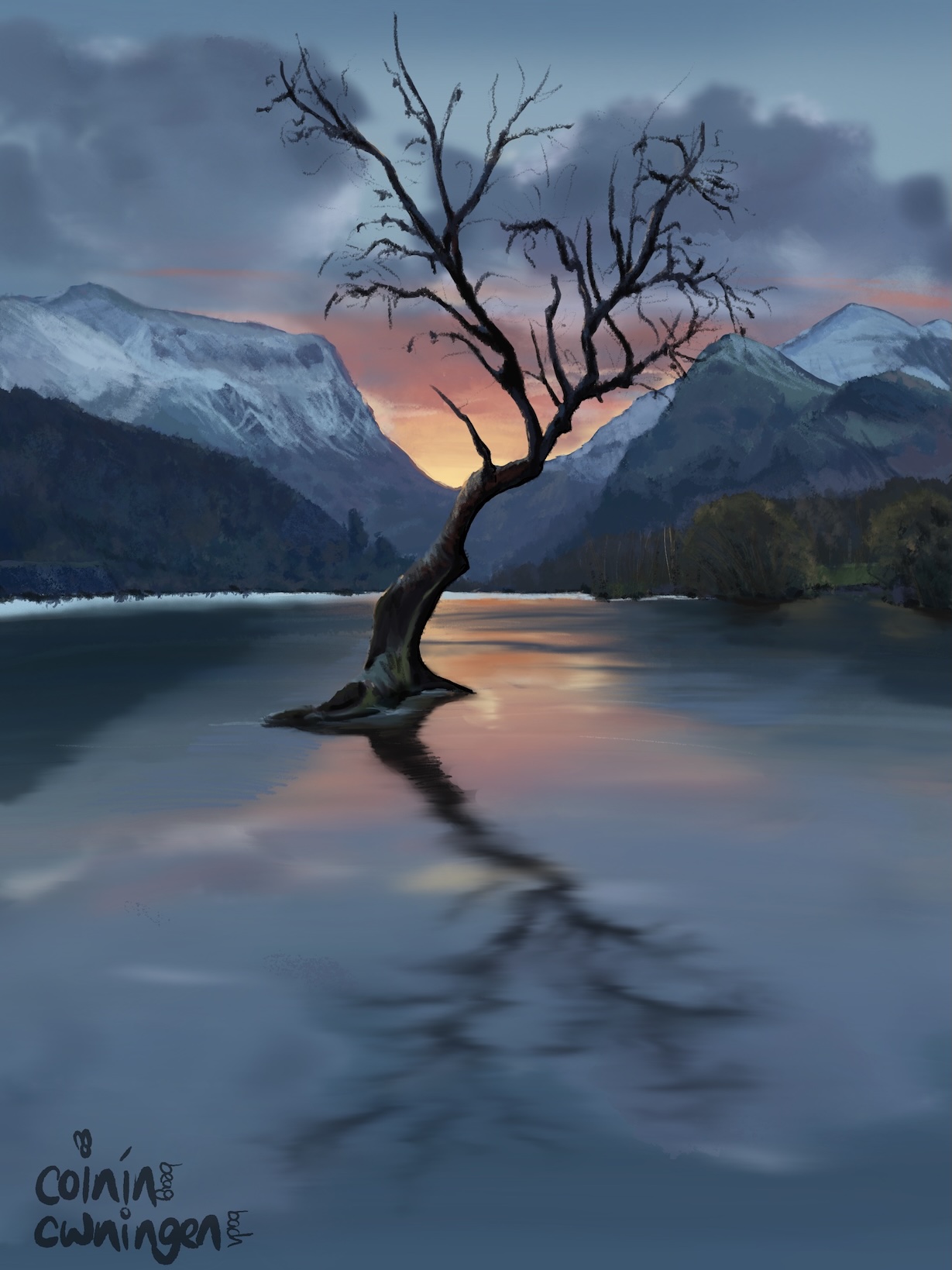 The Lonely Tree, Llyn Padarn, Gwynedd, Wales